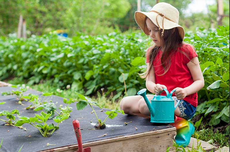 Why The Garden Is Good For Children